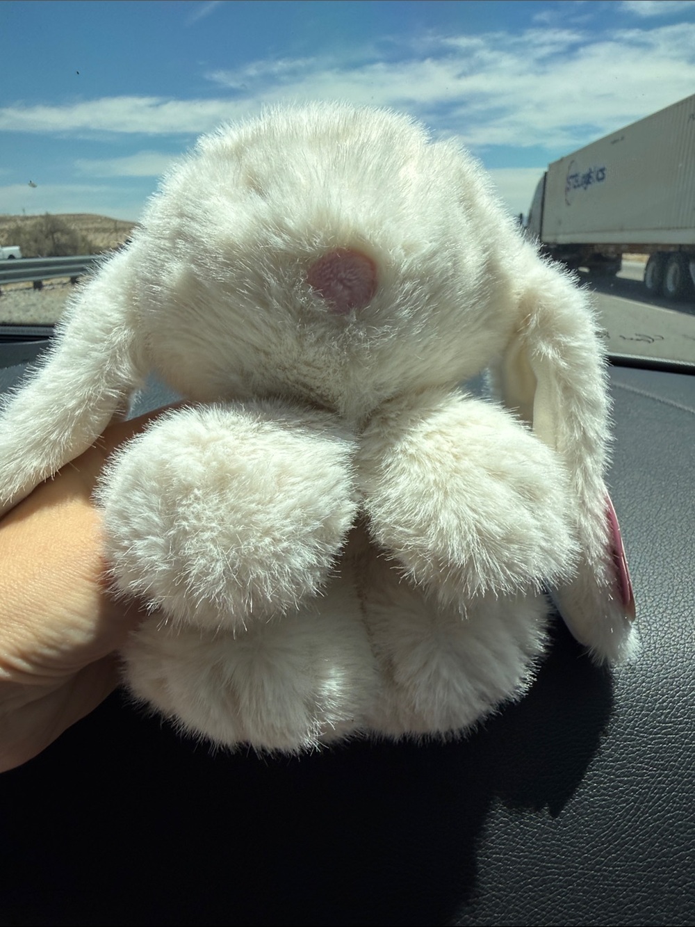 Plush Small Pet Bunny Toy - Cream Faux Fur